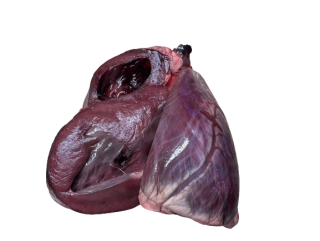 Jelenie srdce 0,5 kg